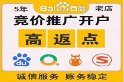 房地产行业SEM推广策略及成果展示